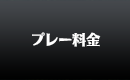 プレー料金